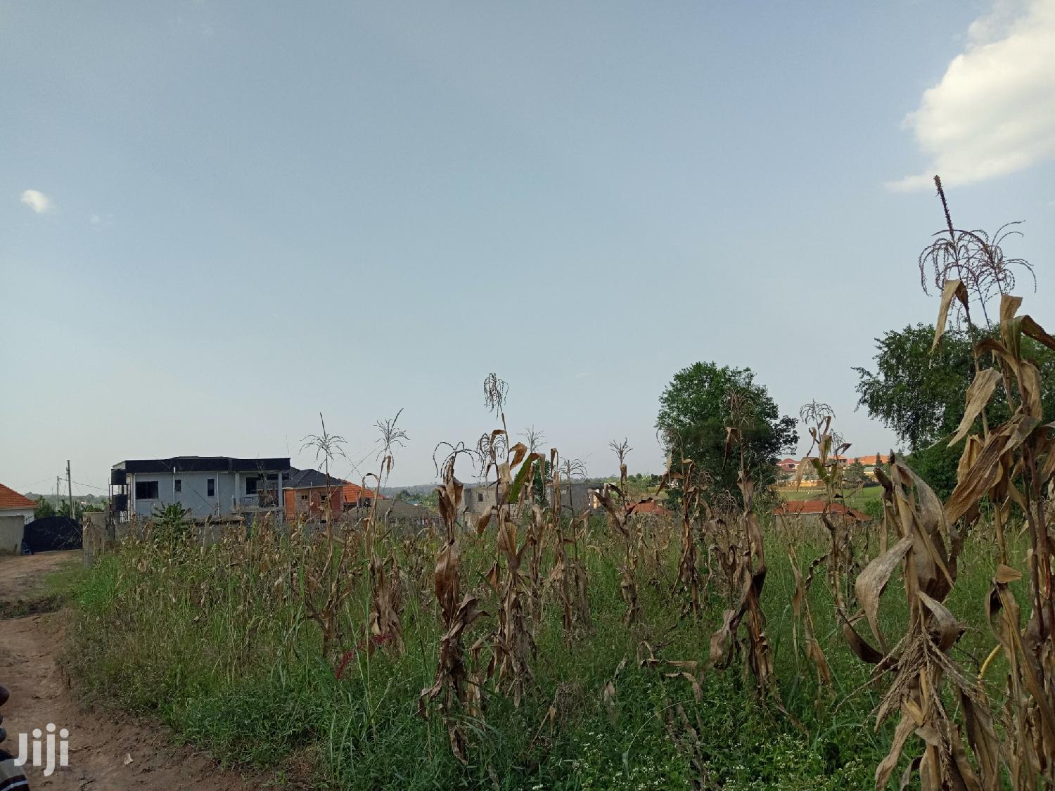 Gorgeous Plot in Kira on Sell