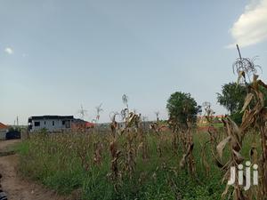 Gorgeous Plot in Kira on Sell