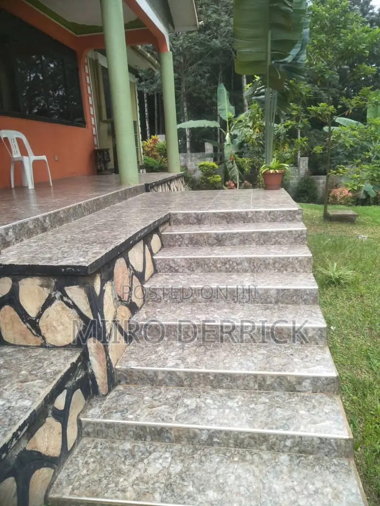 Tiles Expert (Tiler)