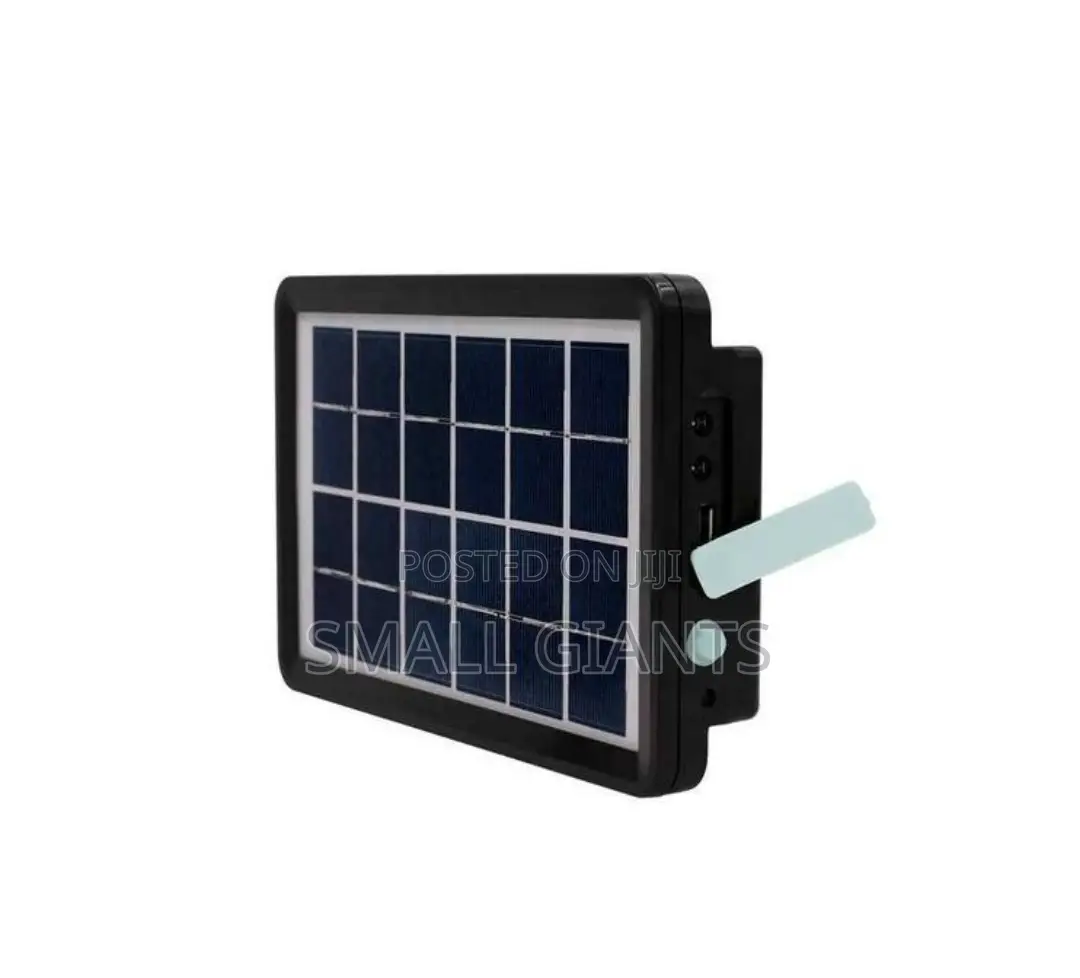 Mini Solar Lighting System With 2 Lights