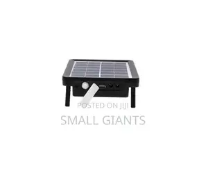 Mini Solar Lighting System With 2 Lights