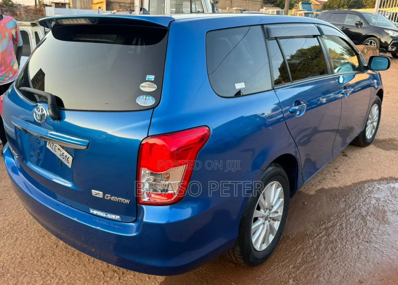 Toyota Corolla Fielder 2010 Blue