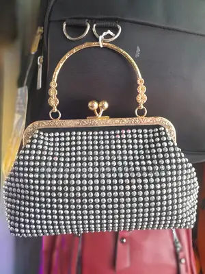 Ladies Hand Bag