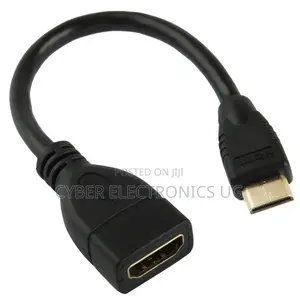 Mini HDMI Male to HDMI 19 Pin Female Cable