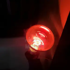 Brooder Heater Bulbs 