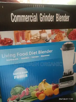 Commercial Blender and Grinder