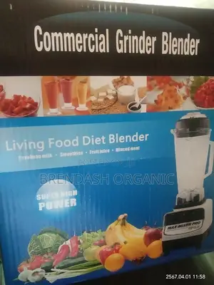 Commercial Blender and Grinder