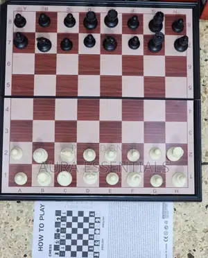 New Foldable Magnetic Brain Chess