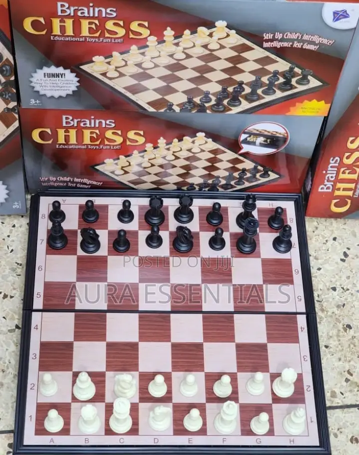 New Foldable Magnetic Brain Chess