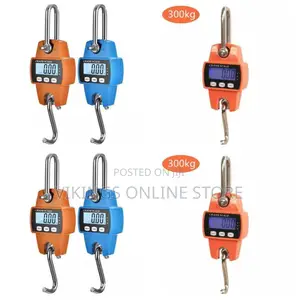 Crane 300 KGS Cast Iron Weighing Scale