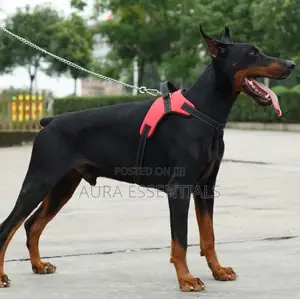 Adjustable Dog Vest Harness