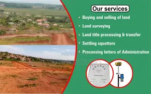 Real Estate Services