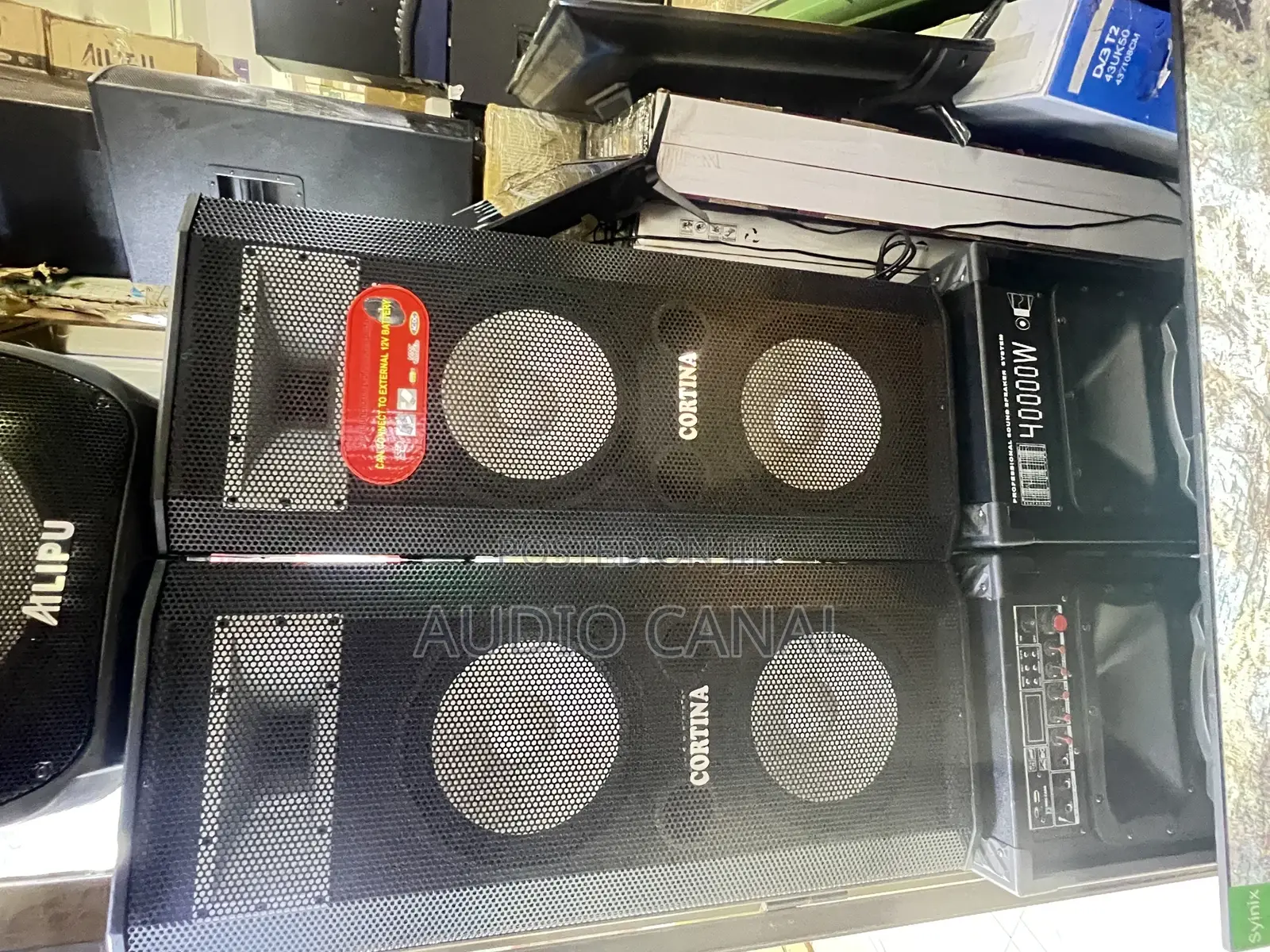 Cotina Professional Speaker System