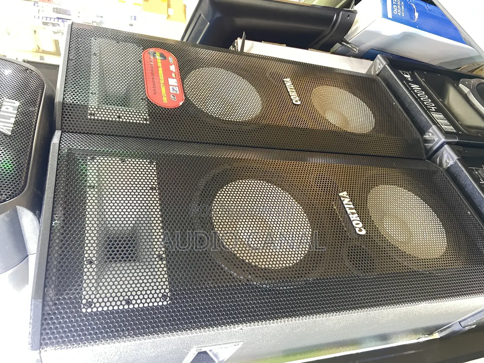 Cotina Professional Speaker System