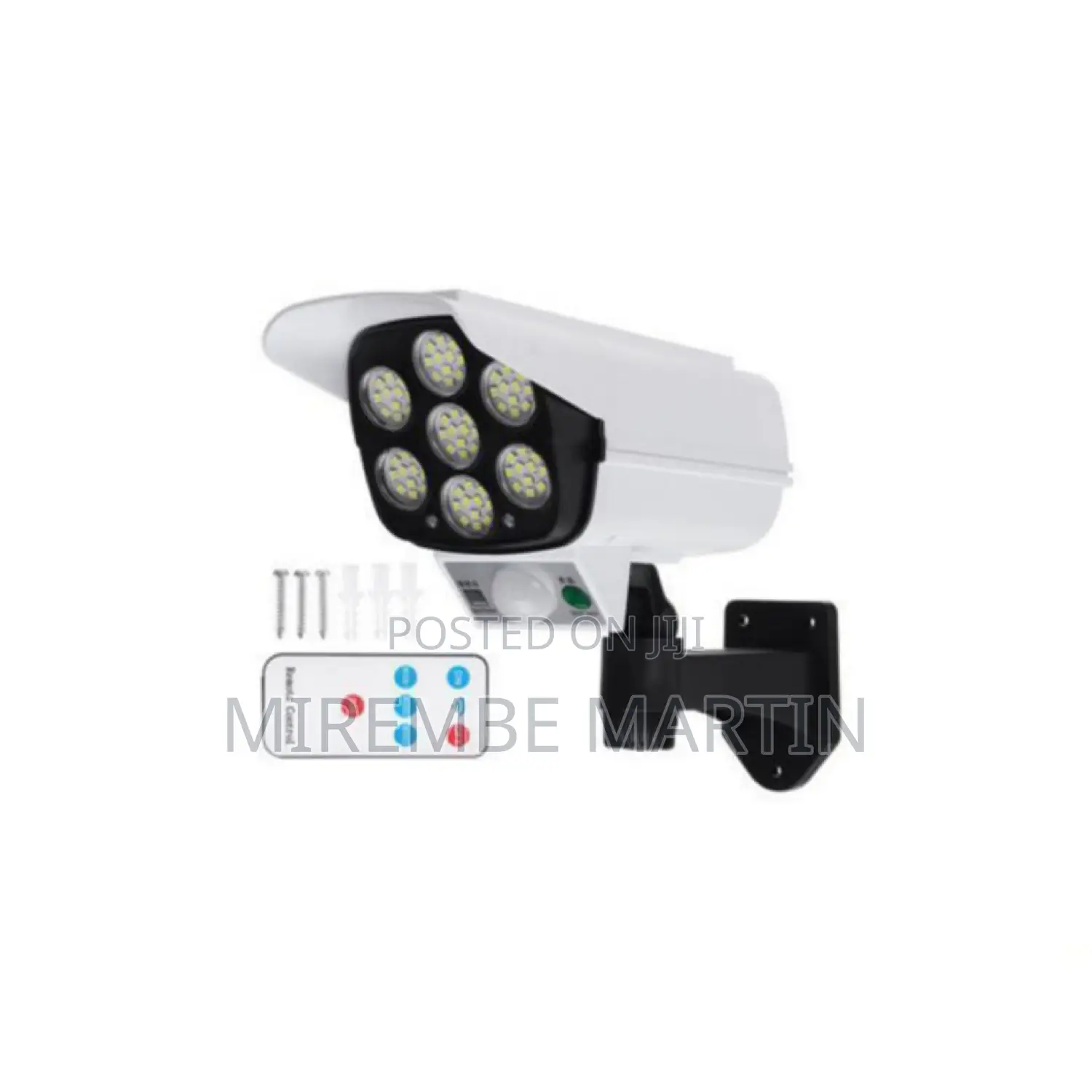 Solar Motion Sensor Light.