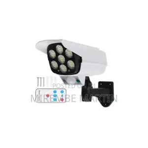 Solar Motion Sensor Light.