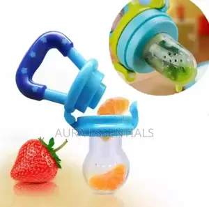Baby Pacifier Fresh Food Nibbler