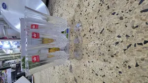 Champne Wine Glasses 12pics DZN