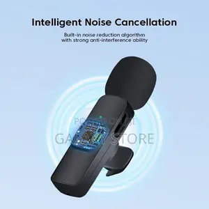 Double Type C Wireless Lapel Microphone for iPhone Android