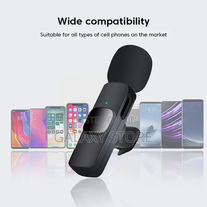 Double Type C Wireless Lapel Microphone for iPhone Android
