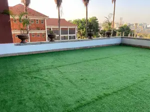 Grass Carpets( Artificial Turf)