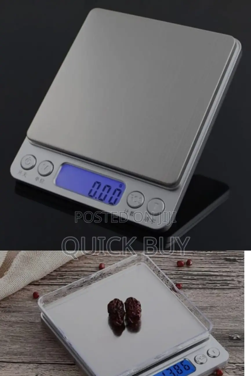 Stainless Steel Portable Analytical Scale