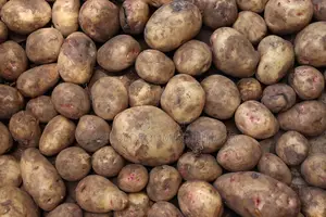 Fresh Irish Potatoes