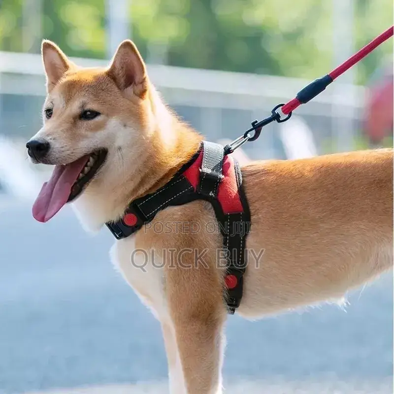 Adjustable Durable Reflective Dog Harness