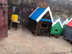 D Bbule and Black Dog House Available