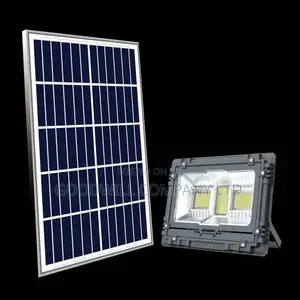 200w Solar Flood Light Csi Platinum