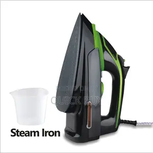 300W Avinas Steam Iron