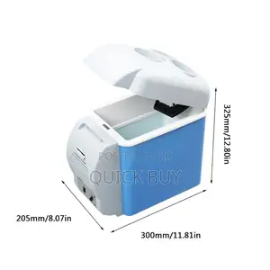 Multifunctional Car Fridge for Travel Cooler and Warmer