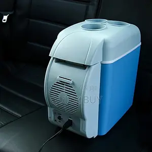 Multifunctional Car Fridge for Travel Cooler and Warmer