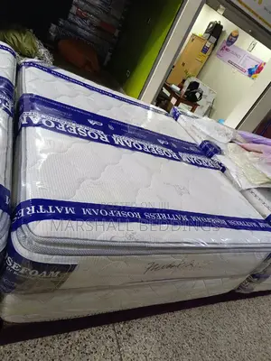 5x6/12inch Spring Mattress -Roseform Double Layers