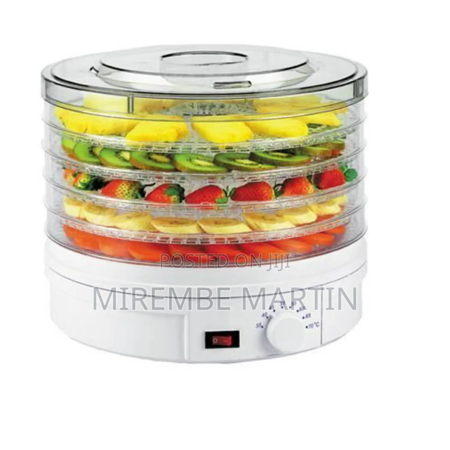 Electric Food Dehydrator.