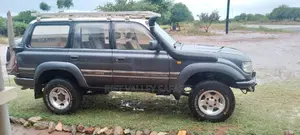 Car Hire With Professional Driver ( No Self Drive)