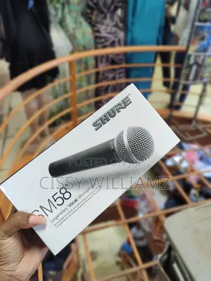 Dynamic Vocal Microphone/Shure SM58 Microphone/Shure Mic