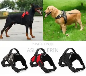 Pet Dog Adjustable Harness