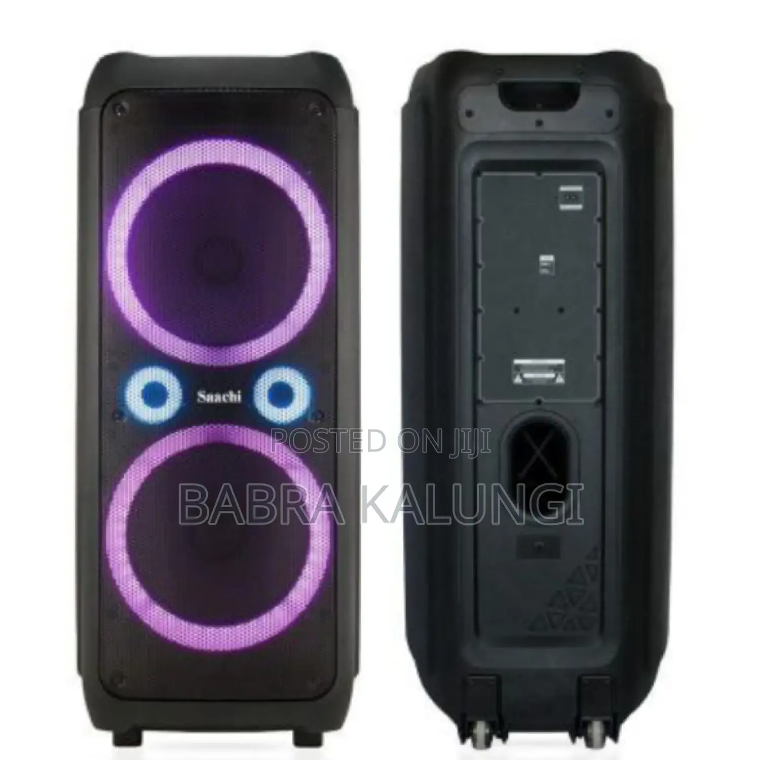 Rechargeable Saachi Speaker System