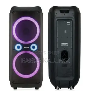 Rechargeable Saachi Speaker System