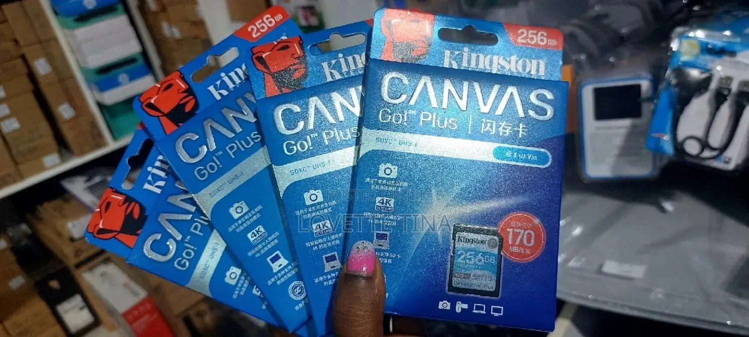 256gb Laxer Camera Card