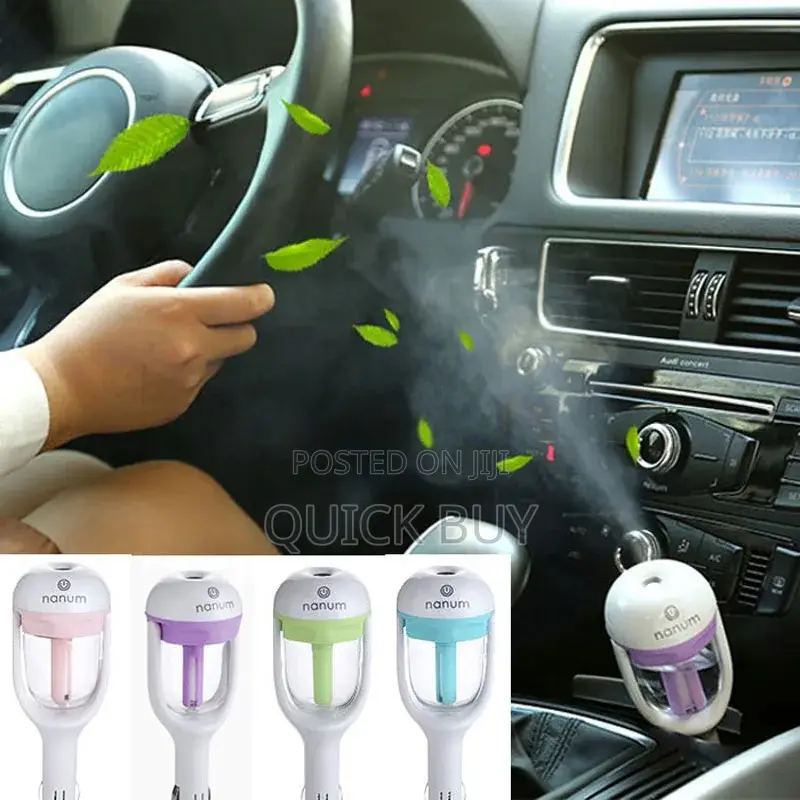 Portable Mist Humidifier With Aroma Essential Oils Diffuser
