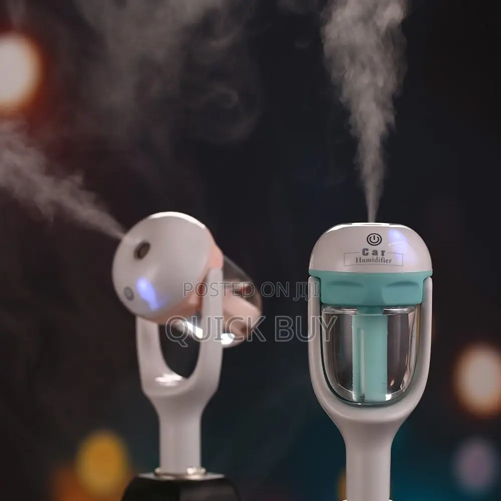 Portable Mist Humidifier With Aroma Essential Oils Diffuser