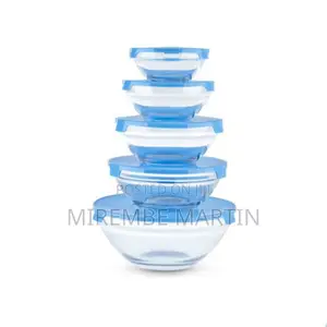 5pcs Glass Food Storage Containers.