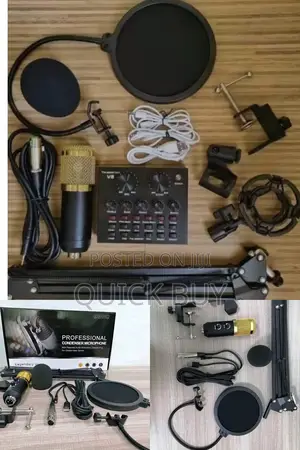 BM 800 Condenser Microphone With V8 Sound Card