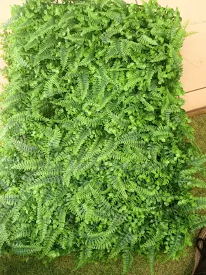 Artificial Plant