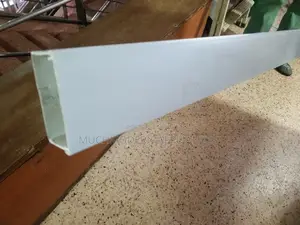 Trunking 100mm*50mm