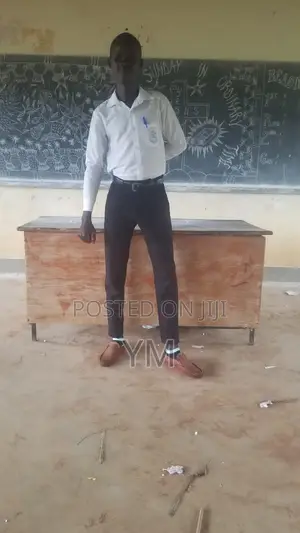 Teaching CV
