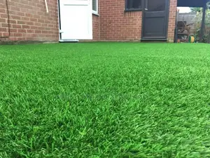 Grass Carpet Grass Carpet Grass Carpet