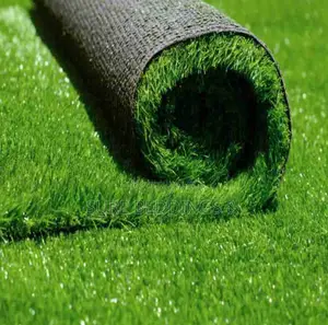 Artificial Grass Carpet